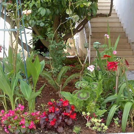 With A Parking Space Mirca, Brac - 730 * Supetar